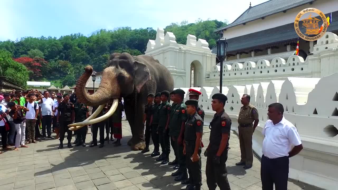 Sri lankan most famous elephant