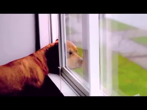 rumble.com
