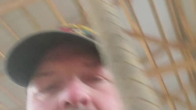 Horse training Sunday Grace.