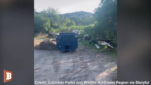 HE COULDN'T BEAR IT! Officers Help Distressed Cub Trapped in Dumpster