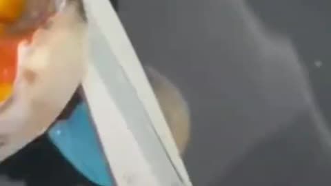 Clean crab