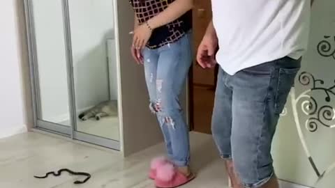 Snake prank, funny video