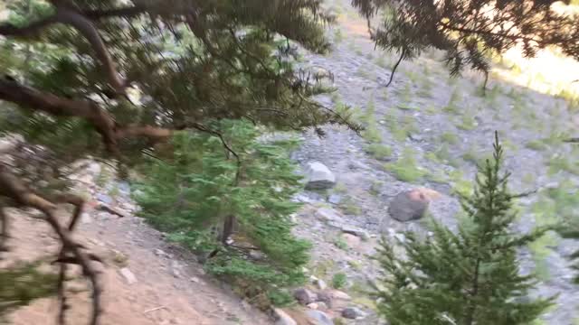 Central Oregon - Mount Jefferson Wilderness - Narrow Climbers Trail to EPIC view of TFJ Mountain