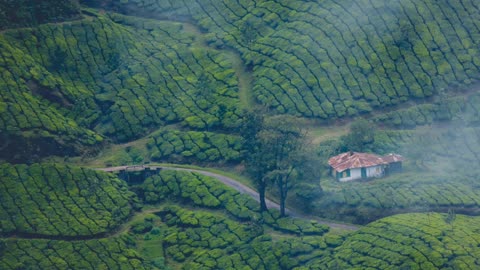 Kerala is so beautiful