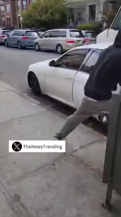 Man STEALS BAGS OF MAIL in Crown Heights, New York.