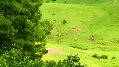 Tourist place (Swat_Valley) in PK.