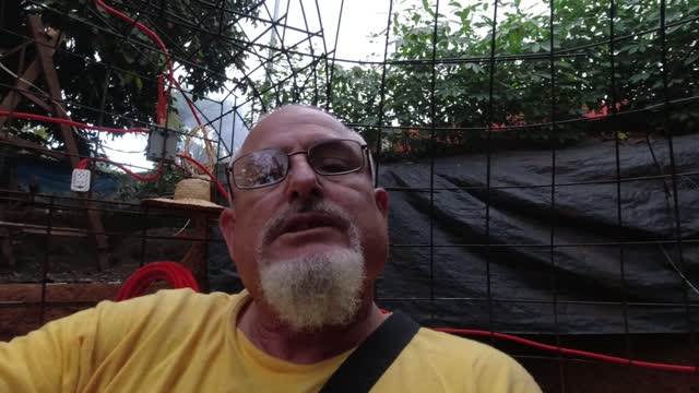 "THEY" ARE TRAPPING US part 1