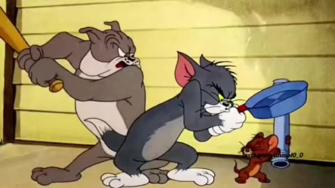 Funny tom and jerry funny moments