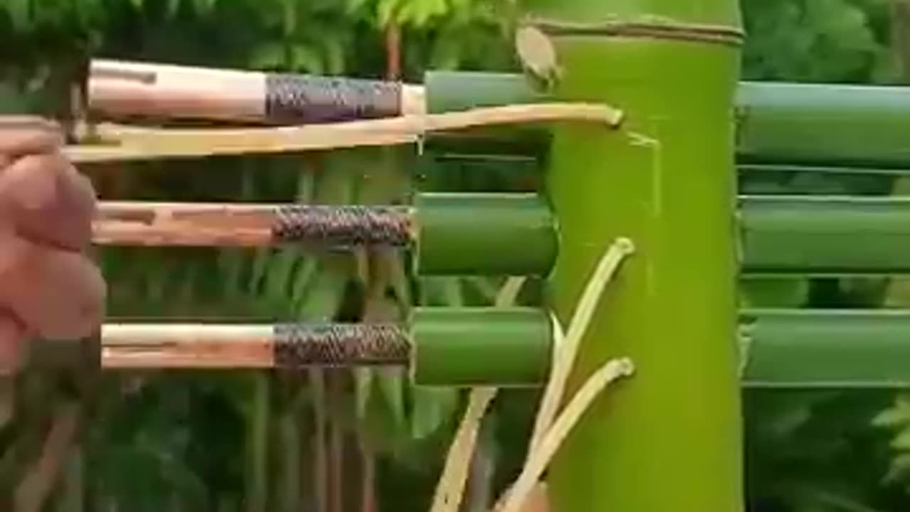 Bamboo creation with three arrow