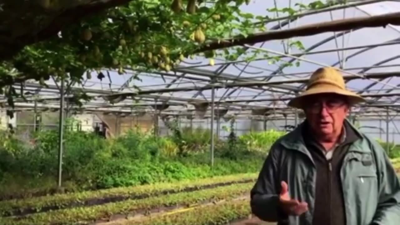 Josep Pamies nos habla de la farmacia natural que tenemos gratis. Plandemia Covid 19