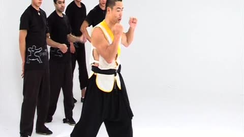 Shaolin Warrior Workout intermediate vol 2