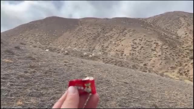 Enjoy some funny moments