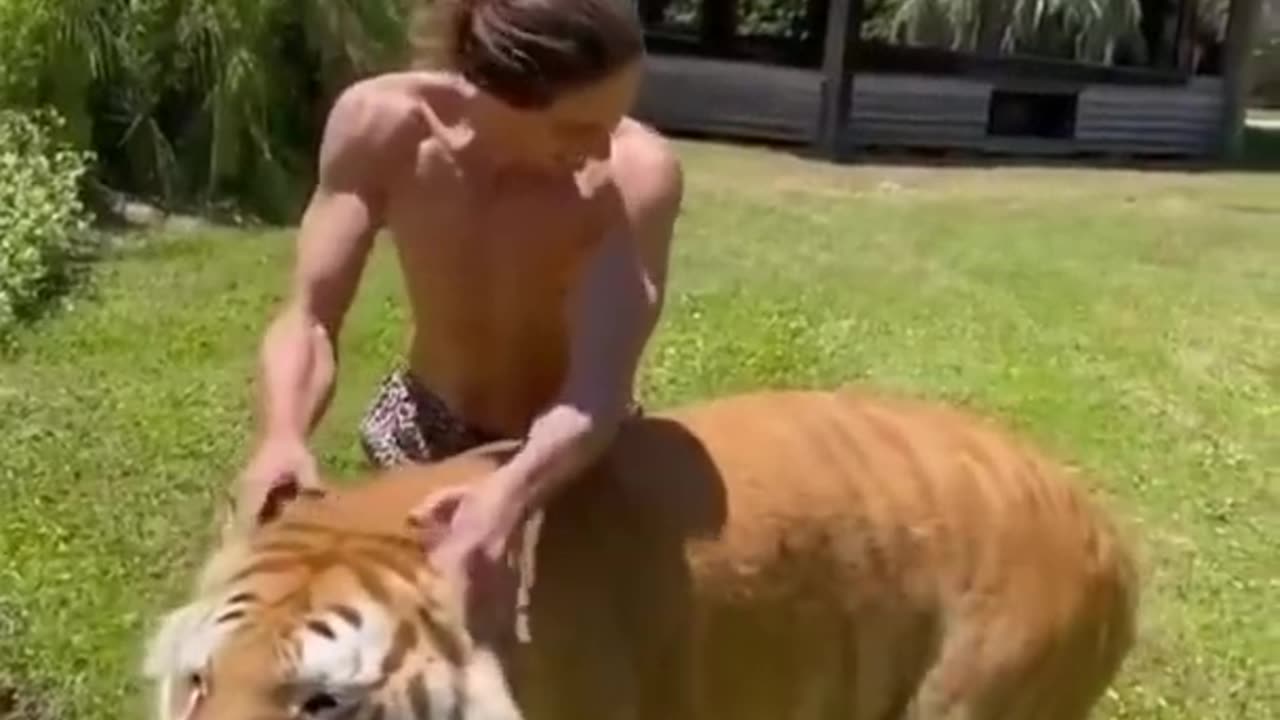 best funny animal video of the year