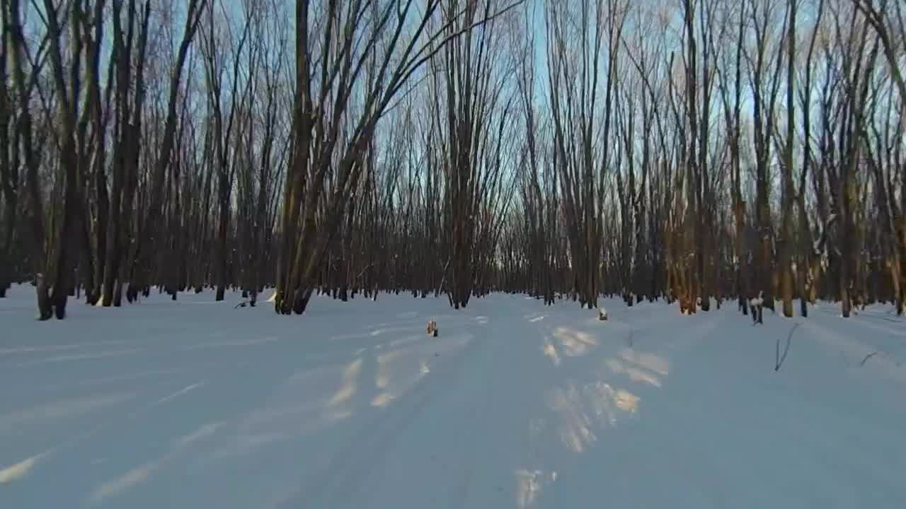 Zoomin' Ski-Doo time, come for a ride!