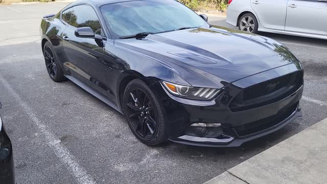 5.0 mustang All Black