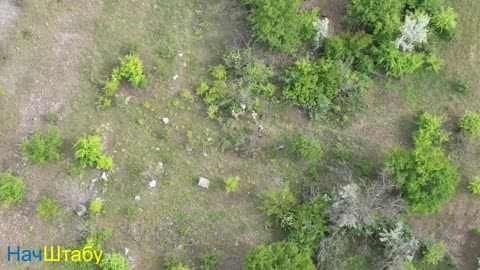 Ukrainian soldiers savagely beat another Ukrainian soldier, why???