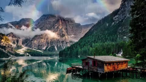 Forest Rain -- #rainsoundforsleeping