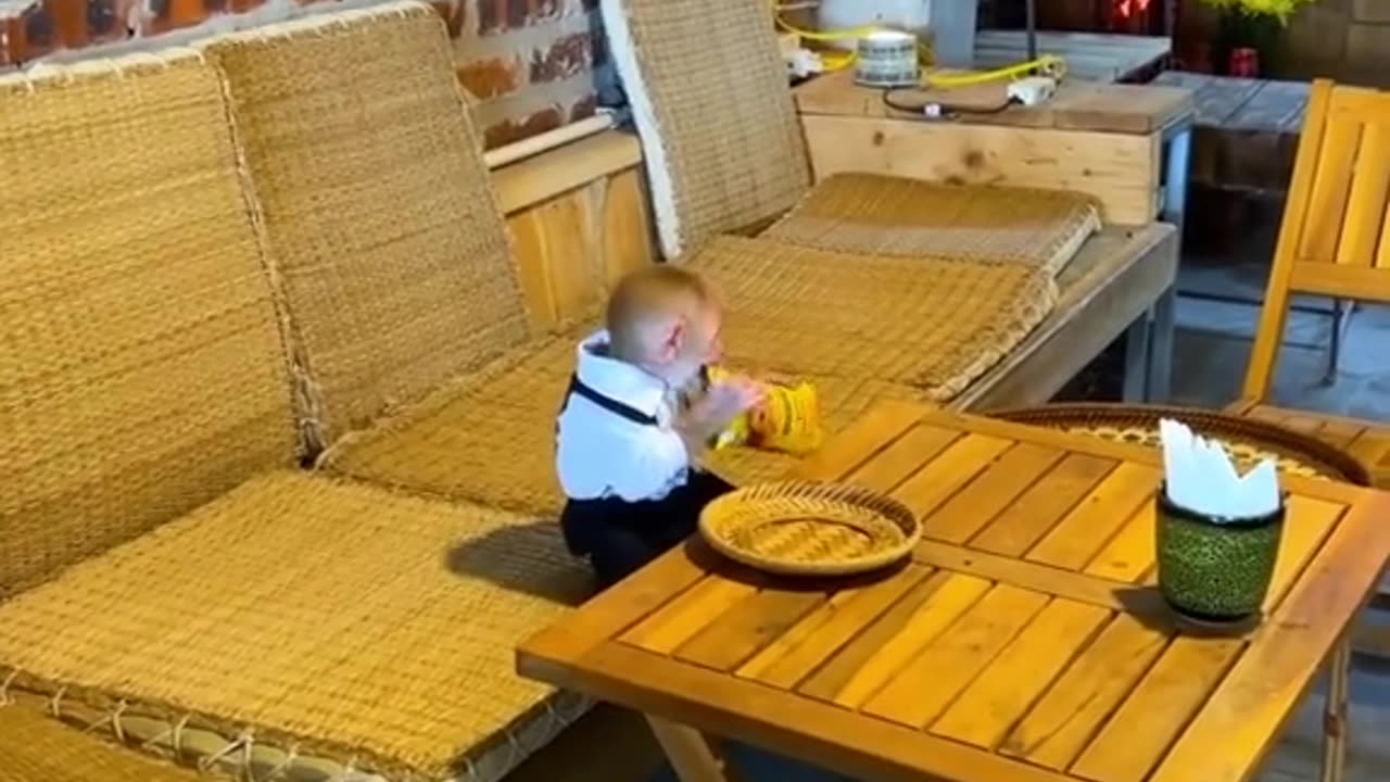 Intelligent monkey