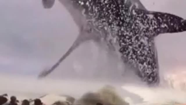 Project Blue Beam (amazing)