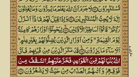 Quran Para 14/30 with Urdu Translation