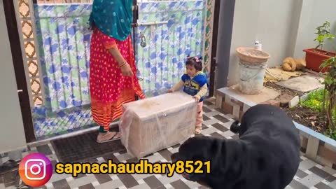 Sapna.s gift for cute funny dog training video