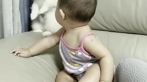 Cute Dog and baby