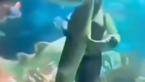 Watch the end