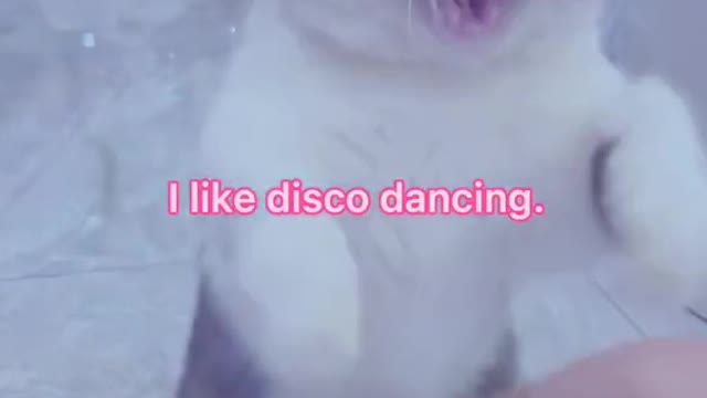 l like disco dancing.