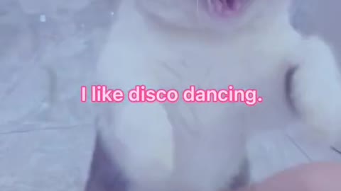 l like disco dancing.