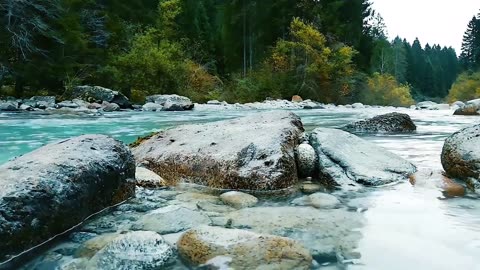 Reflexing video