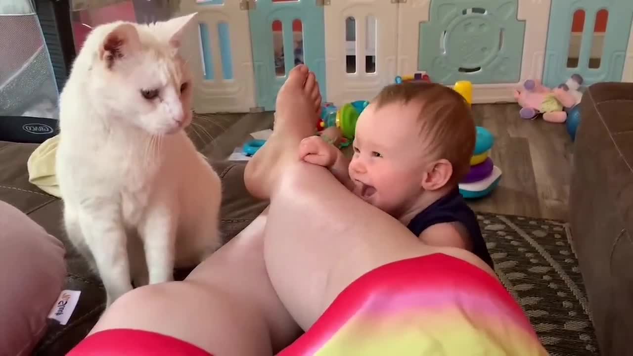 Cute baby playing with cat