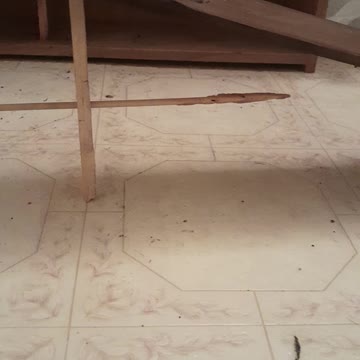 My Alaskaman bushcraft#1