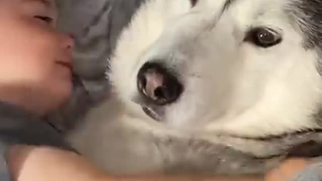 The Full 4 Year Story Of My Husky & Baby Becoming Best Friends!! [WITH MUSIC!]