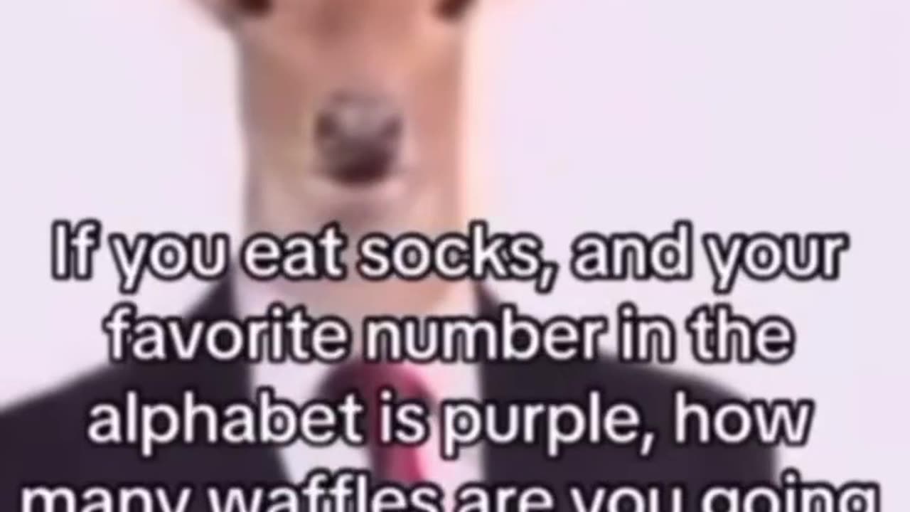 How many waffles are you going to put in the toilet?