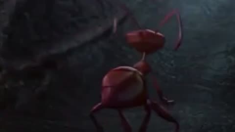 The ant bully Hova butt backside derrian byer after life
