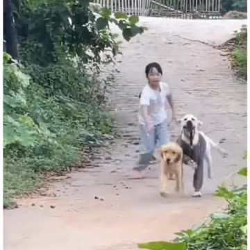 The dog saved the other from it’s owner 😃🦮🔥 #dog #pets #animals