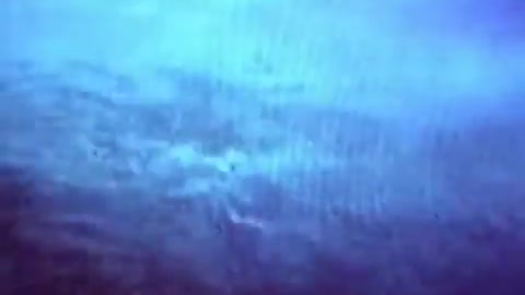 Ocean Equilibrium