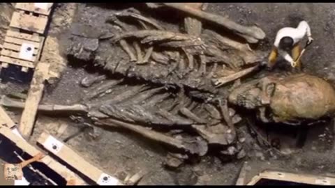 The Nephilim