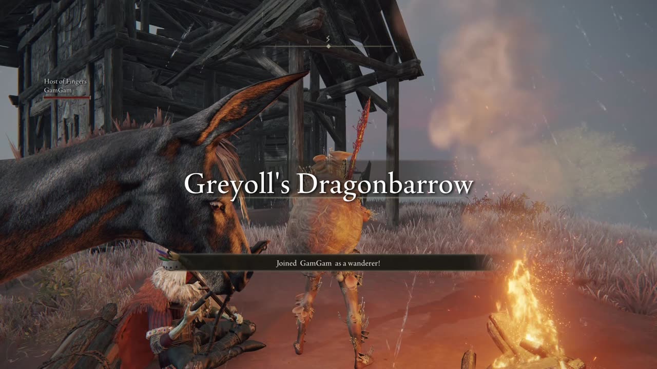 Elden Ring- DONKEY!!!