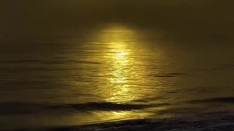 Moon Light