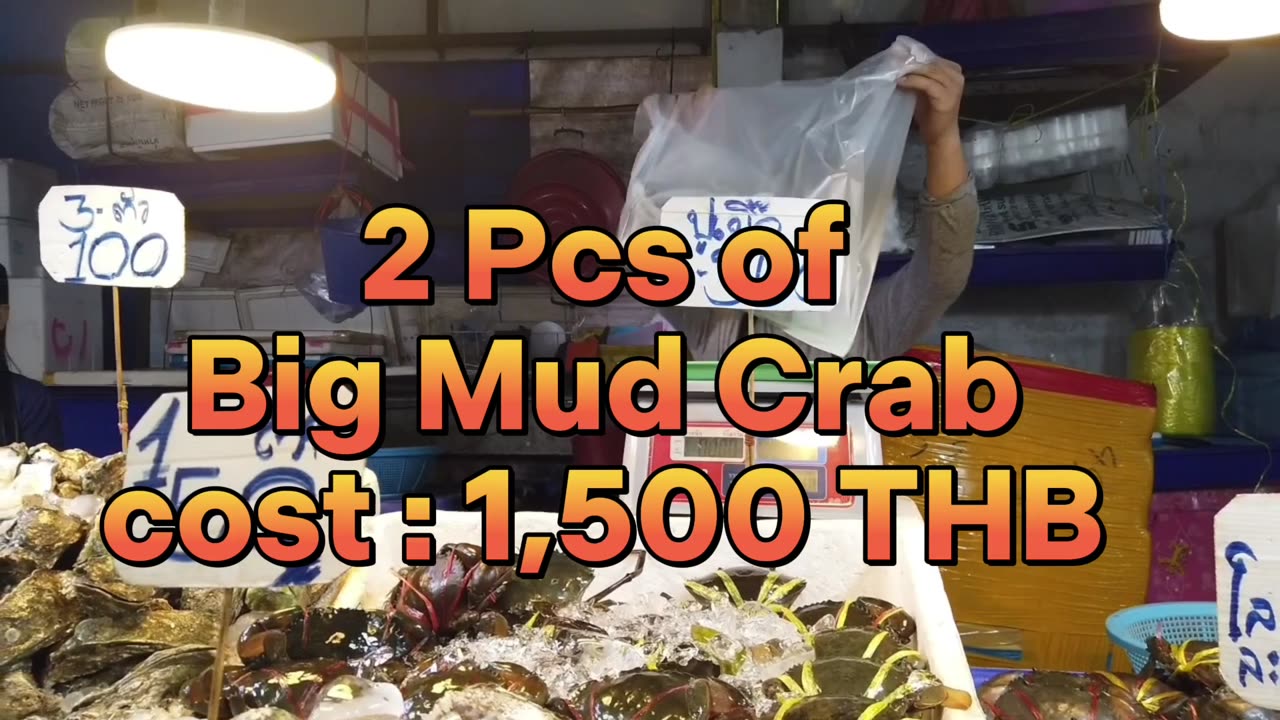 Went to Naklua Fish Market
