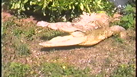 1991 Florida Trip - Part 2