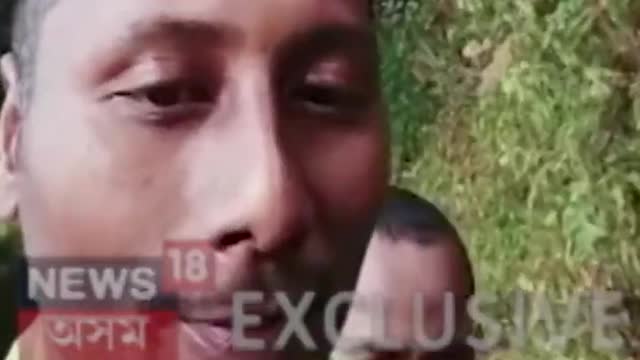 SUPER EXCLUSIVE দলে বলে জংঘলৰ পৰা ওলাই আহিল KLOৰ কেডাৰ Assamese News #shorts