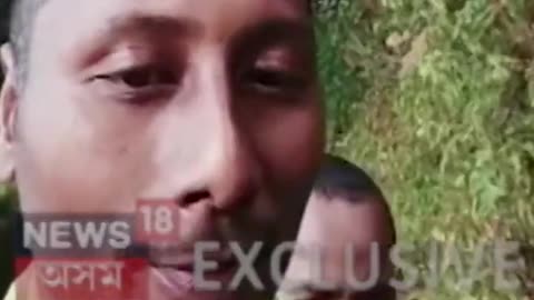 SUPER EXCLUSIVE দলে বলে জংঘলৰ পৰা ওলাই আহিল KLOৰ কেডাৰ Assamese News #shorts
