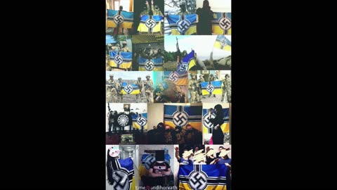 NO NAZI'S IN UKRAINE?????????????
