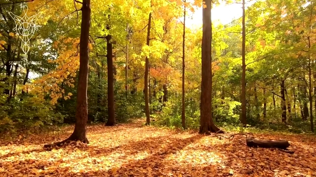 𝐇𝐮𝐠𝐞 𝐒𝐓𝐎𝐑𝐌𝐒 𝐀𝐫𝐞 𝐁𝐑𝐄𝐖𝐈𝐍𝐆!! 𝐌𝐨𝐬𝐭 𝐏𝐞𝐨𝐩𝐥𝐞 𝐇𝐚𝐯𝐞 𝐍𝐨 𝐈𝐝𝐞𝐚 𝐓𝐡𝐢𝐬 𝐈𝐬 𝐂𝐨𝐦𝐢𝐧𝐠!