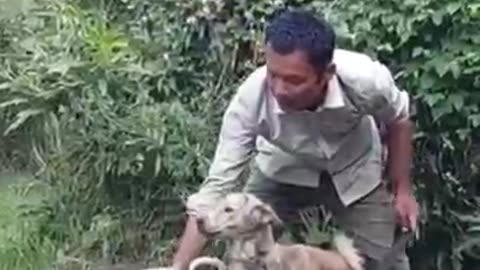 Meet top dog breeders