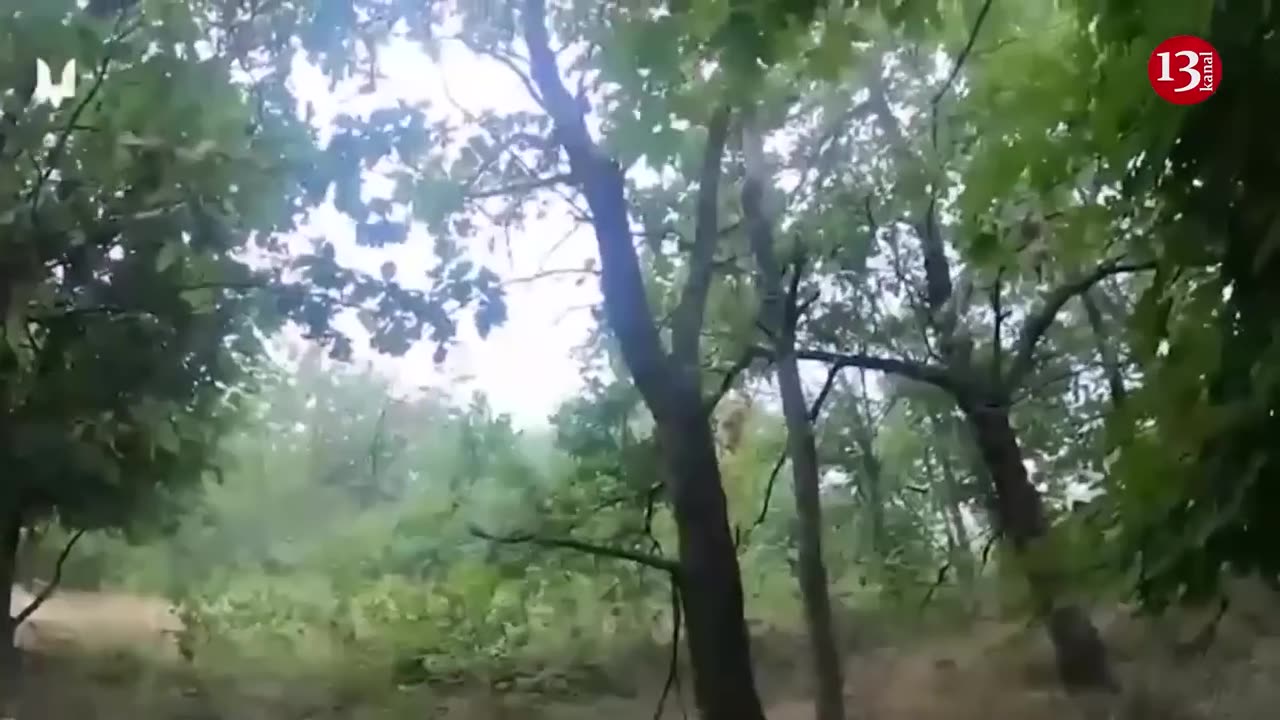 The fight between Ukrainian soldiers and Russians in the forest is on camera