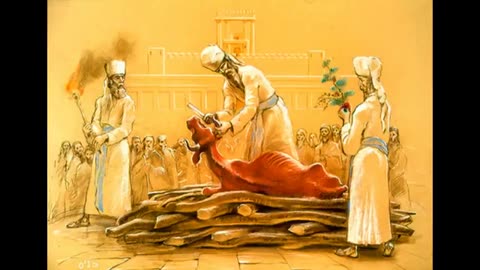 Why the red shoes_ Part 1-RED IS NOT JUST A COLOR. DO YOU KNOW WHAT IT MEANS