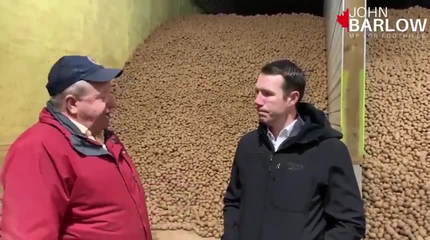 Liberals destroy 300 MILLION pounds of Potatoes